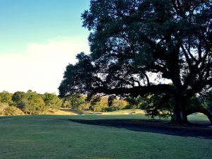 Fallen Oak 18th Oak Fairway